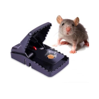 PACK de 3 pièges à souris NG
